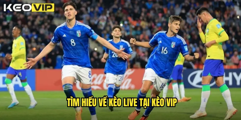 Kèo Live Kèo Vip - Cá Cược Trực Tiếp Tỷ Lệ Cập Nhật Từng Giây 1 Tìm hiểu về kèo live tại Kèo vip